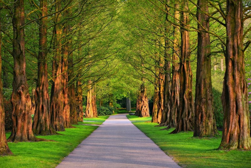 Garden Pathway