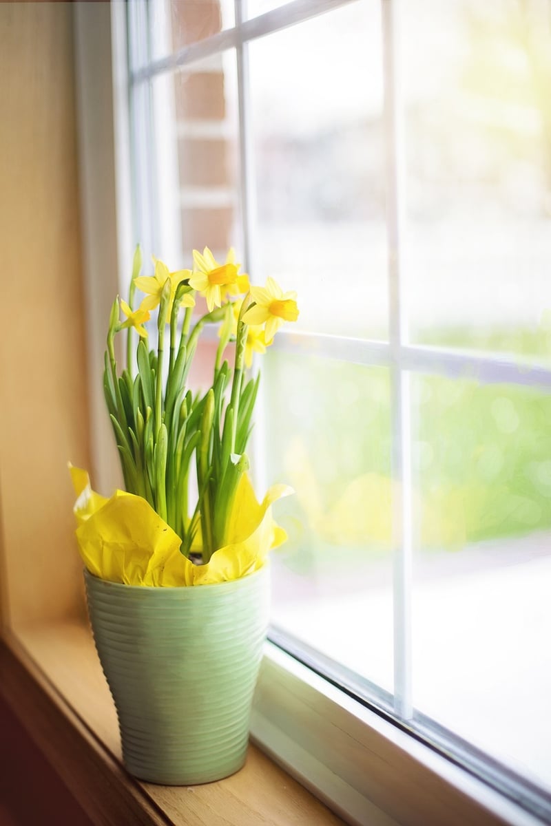Container Gardening